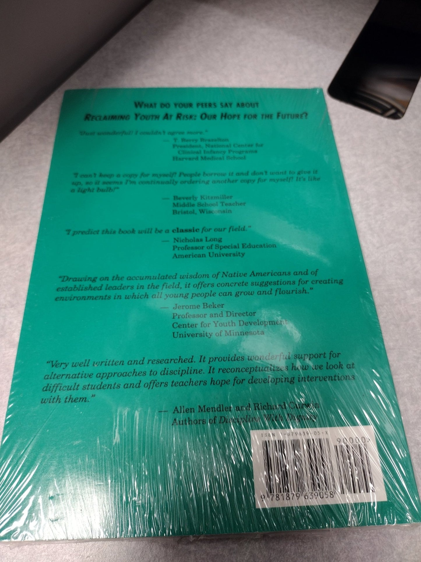 Reclaiming Youth At Risk - RMF Publishing