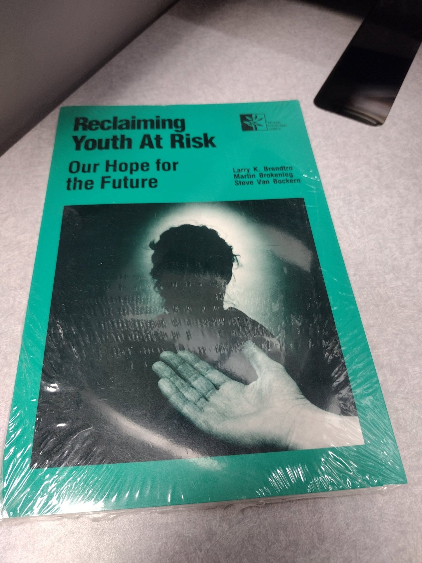 Reclaiming Youth At Risk - RMF Publishing